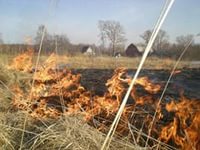 В Осинском районе задержали мужчину, по вине которого сгорело 9 гектаров леса