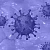 В России разрешили измерять охват тестированием на коронавирус любым способом