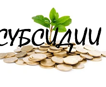 Предприниматели Усолья возместят свои затраты на сумму 4,3 млн рублей