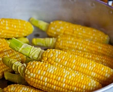 Эндокринолог объяснила, как есть кукурузу без вреда для организма